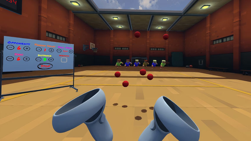 VR Dodgeball Trainer