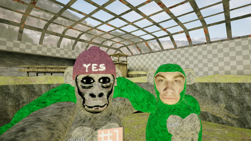 Kong