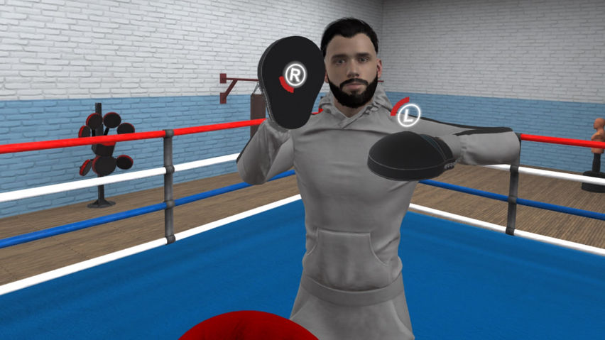 The Fight