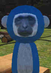 Orangu Chase