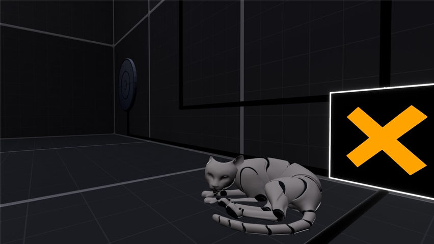 The Cat Way