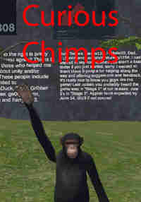Curious Chimps