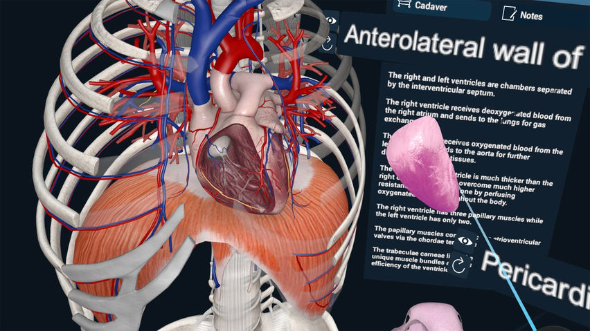 3D Organon XR