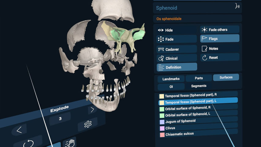 3D Organon XR