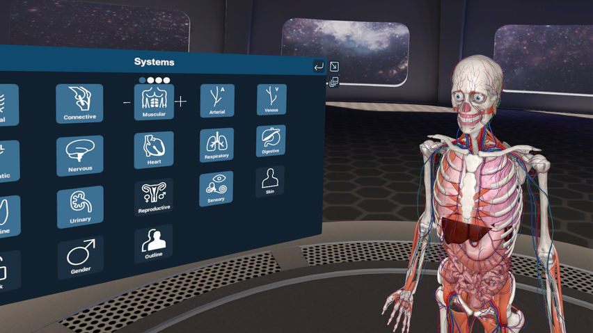 3D Organon XR
