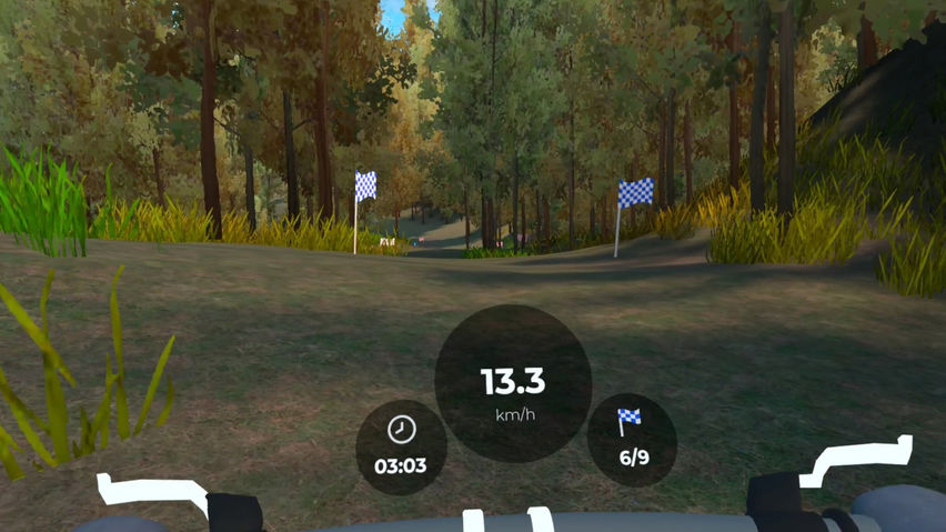 Downhill Bike