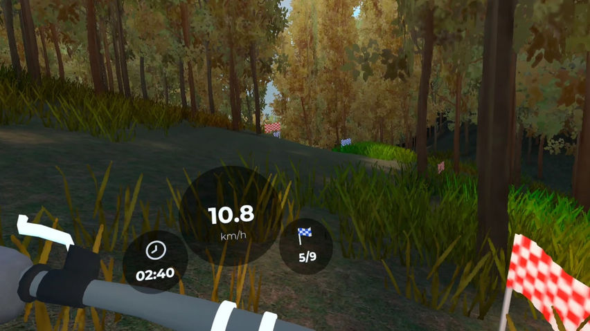 Downhill Bike