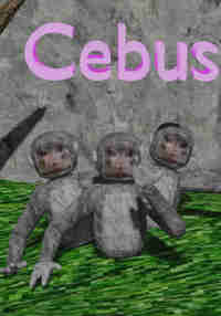 Cebus
