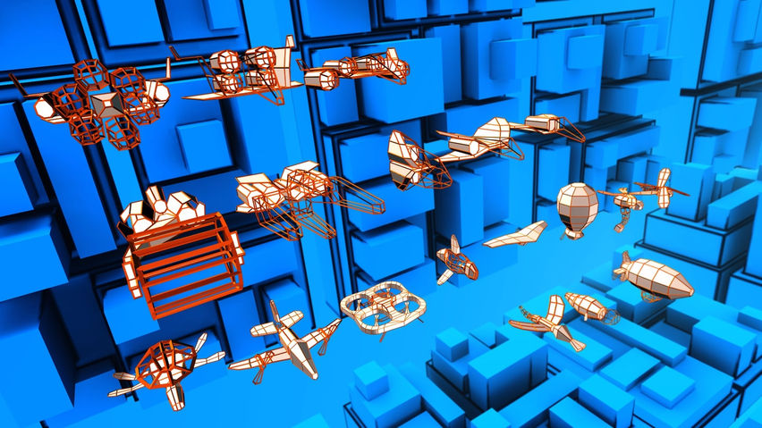 Voxel Fly