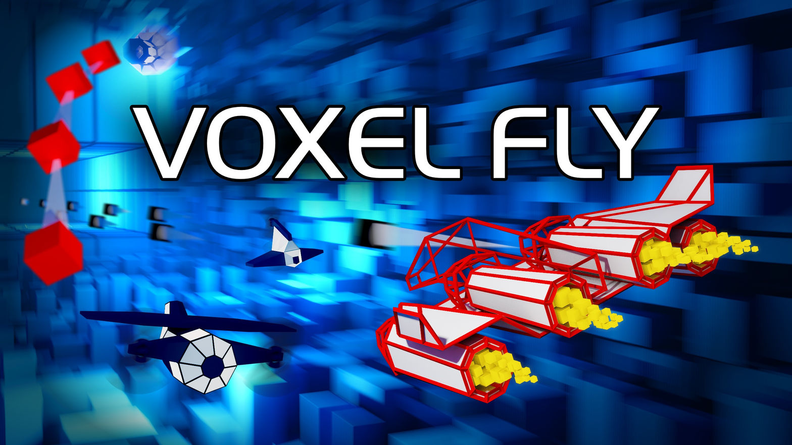 Voxel Fly 