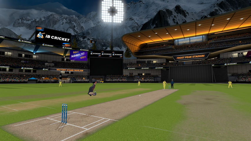 iB Cricket