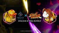 Dhalsim and Vega Bundle
