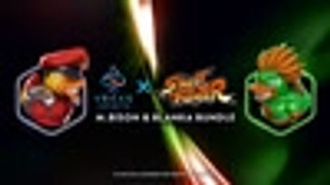 M. Bison & Blanka Bundle