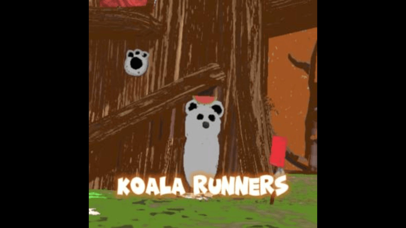 koala runners 