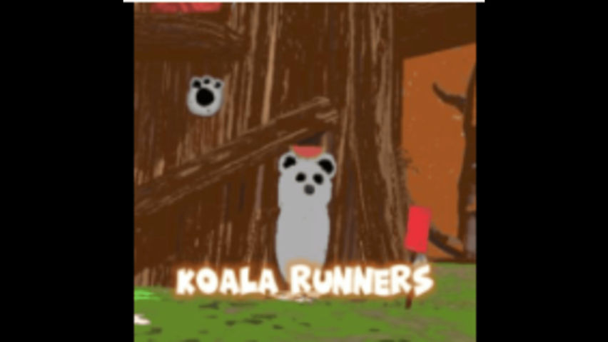 koala runners 