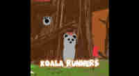 koala runners 