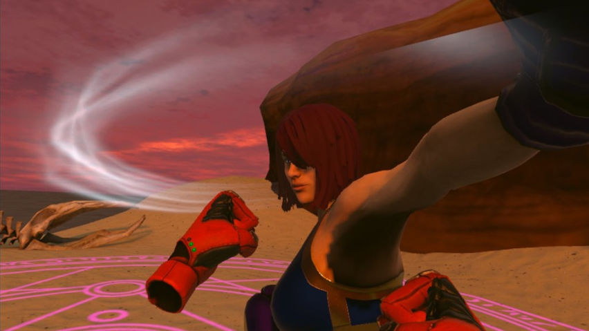 Art of Combat: Fighting Dragons Championship