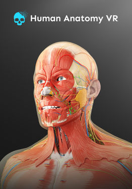 Human Anatomy VR