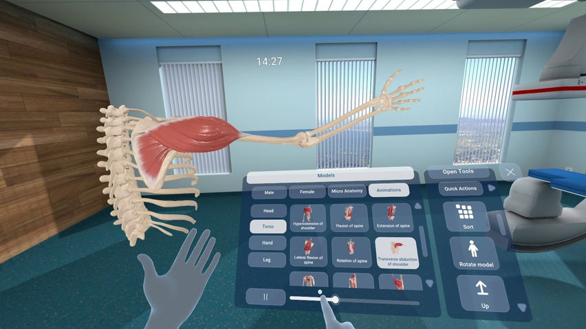 Human Anatomy VR