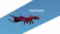 Red Drake