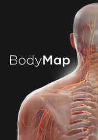 BodyMap for Anatomy and Medical Education