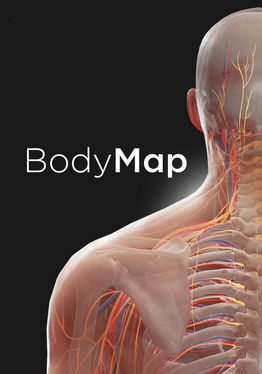 BodyMap for Anatomy and Medical Education