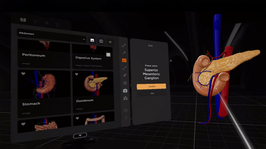 BodyMap for Anatomy and Medical Education