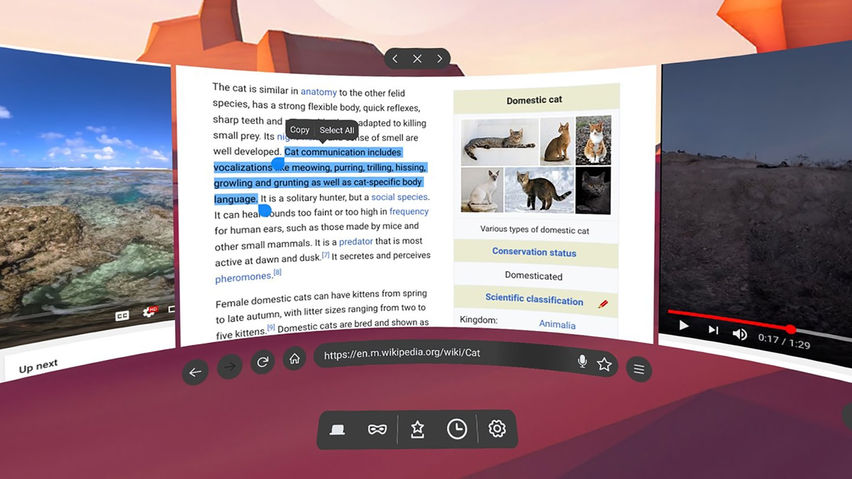 Firefox Reality