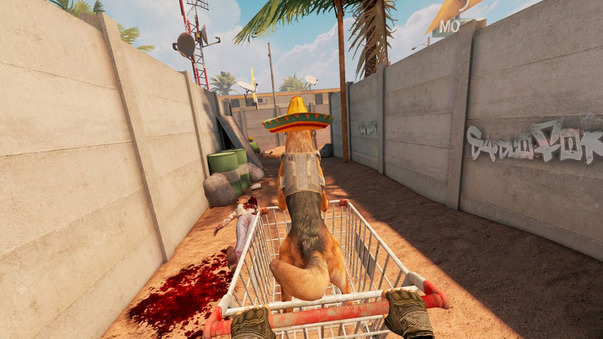 Arizona Sunshine® 2