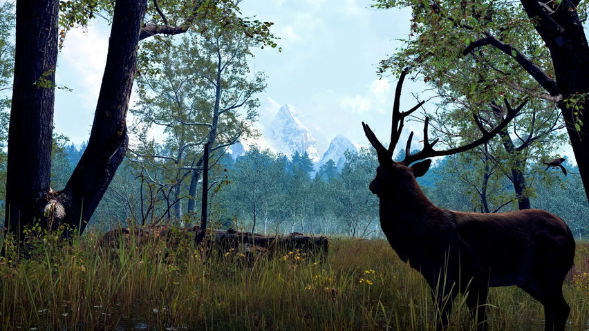 Nature Treks VR
