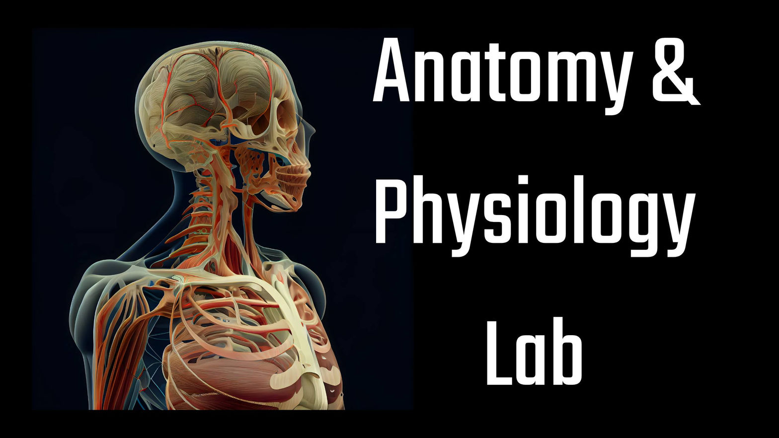 Anatomy & Physiology Lab