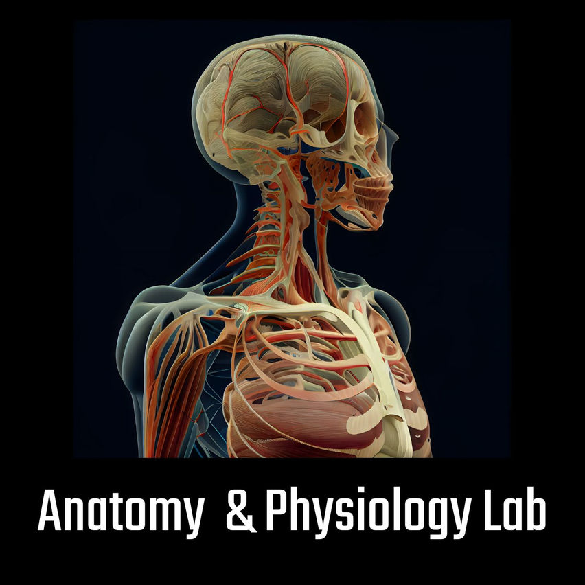 Anatomy & Physiology Lab
