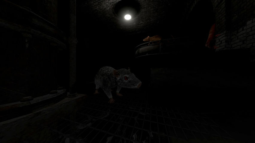 Scamper