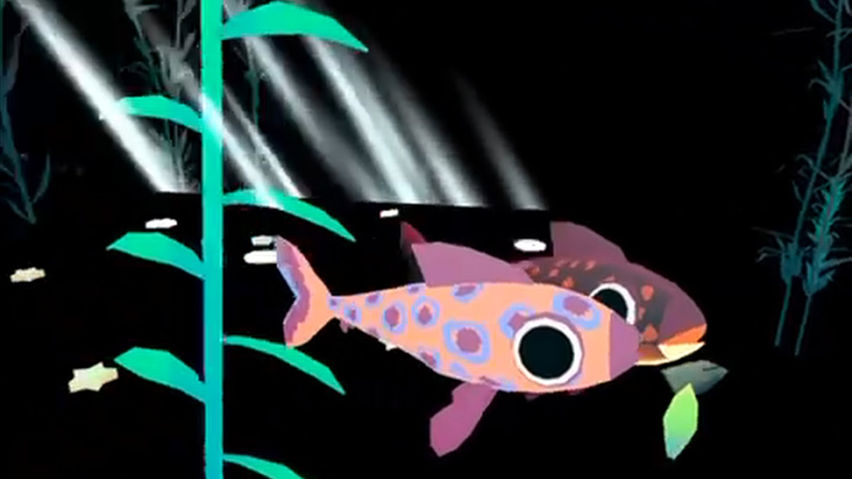 Cuddle Fish
