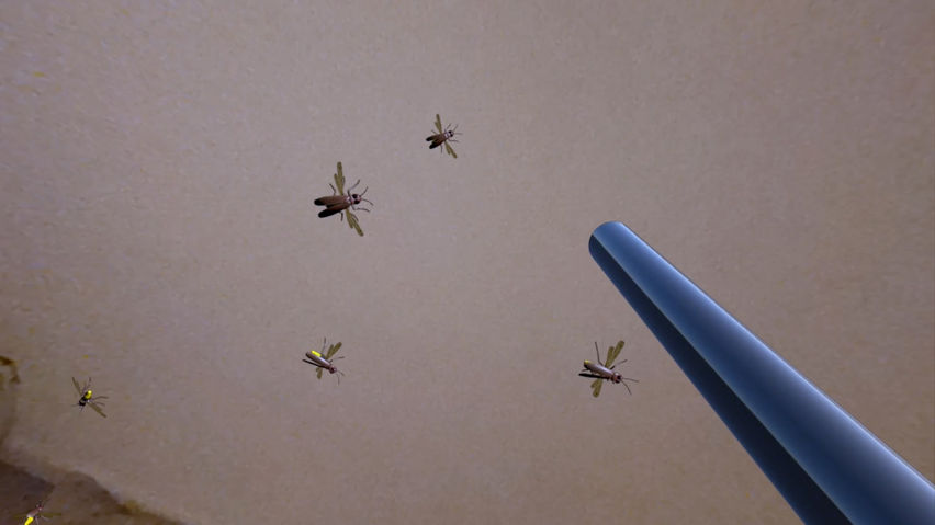 HooverFly