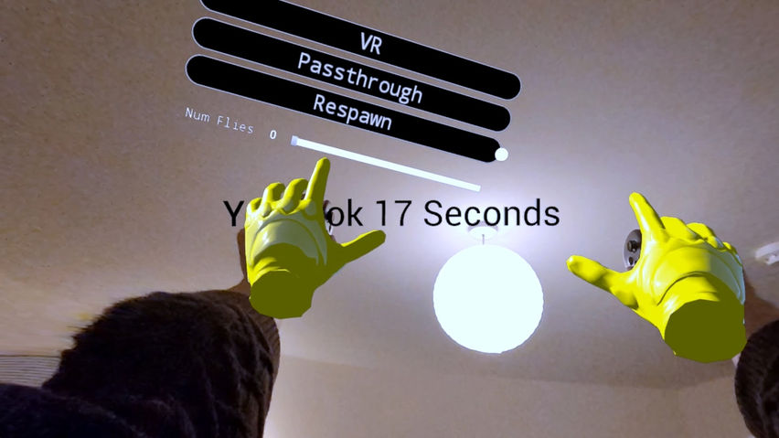 HooverFly
