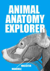 Animal Anatomy Explorer