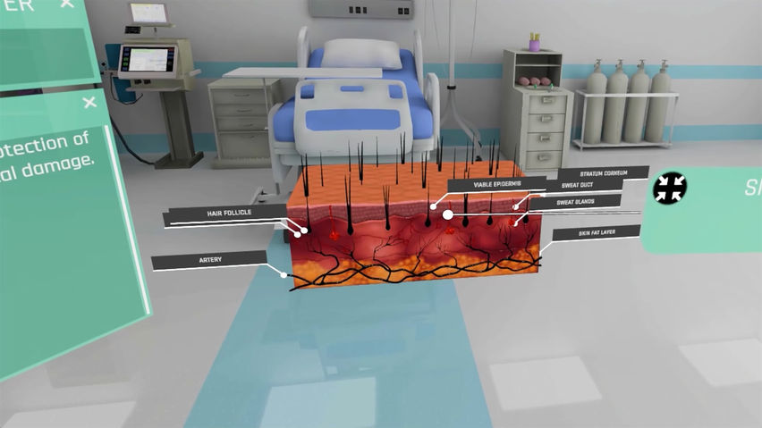 Human Anatomy VR – Medical Education