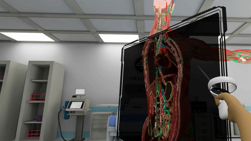 Human Anatomy VR – Medical Education