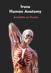 Human Anatomy VR – Medical Education