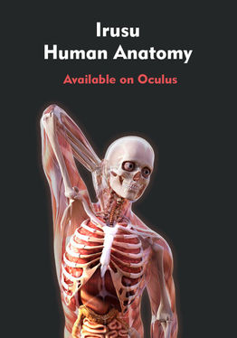 Human Anatomy VR – Medical Education