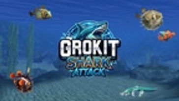 Shark Attack