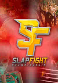 SlapFIGHT CHAMPIONSHIP VR