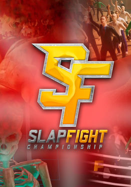 SlapFIGHT CHAMPIONSHIP VR
