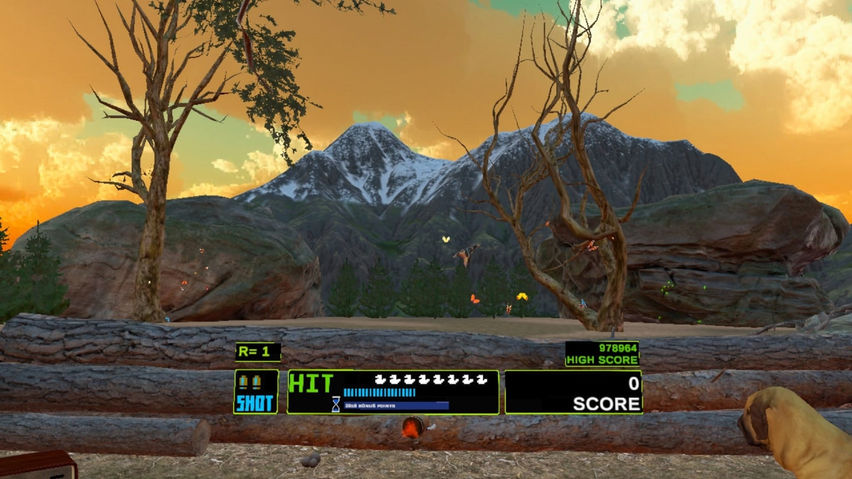 Virtual Duck Hunt