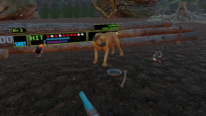 Virtual Duck Hunt