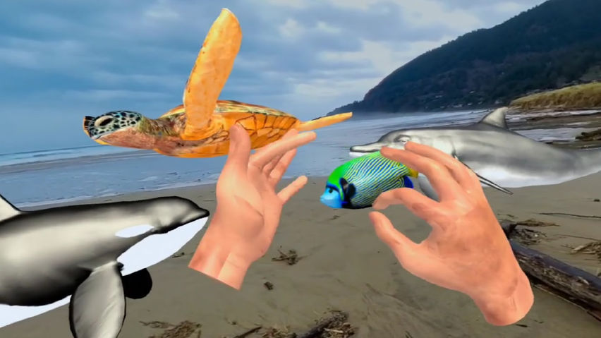 Jungle Zoo Ocean Passthrough Handtracking