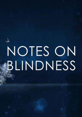 NOTES ON BLINDNESS