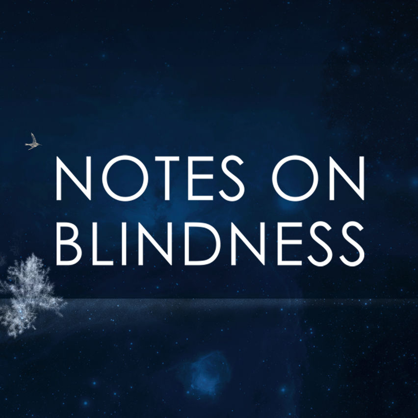 NOTES ON BLINDNESS