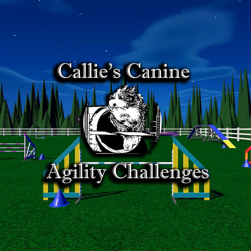 Callie's Canine Agility Challenges